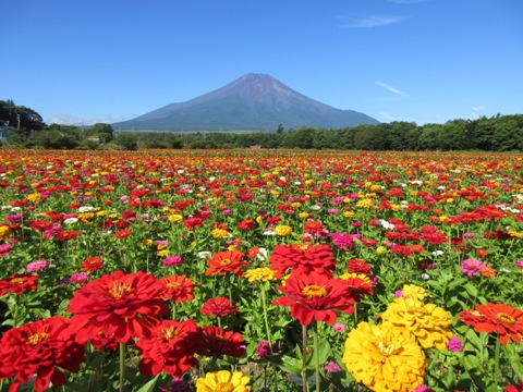 2016/07/30の写真