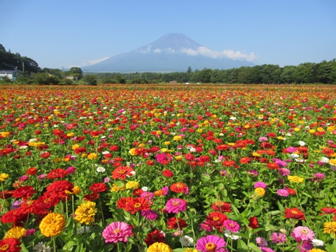 2016/08/06の写真