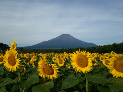 2016/08/09の写真