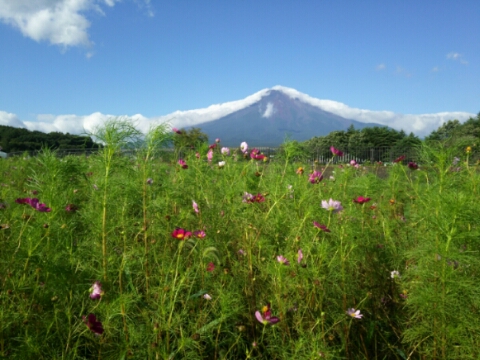 2016/08/31の写真