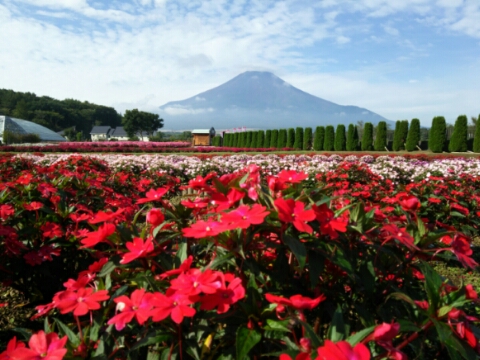 2016/09/17の写真