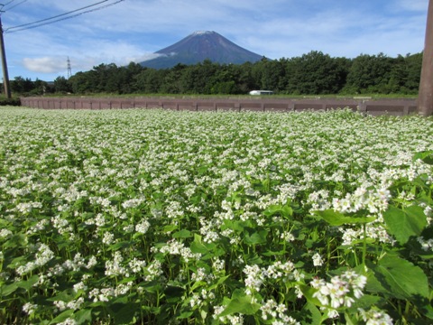 2016/09/25の写真