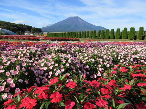 2016/09/25の写真