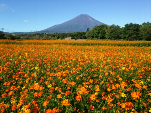 2016/09/27の写真