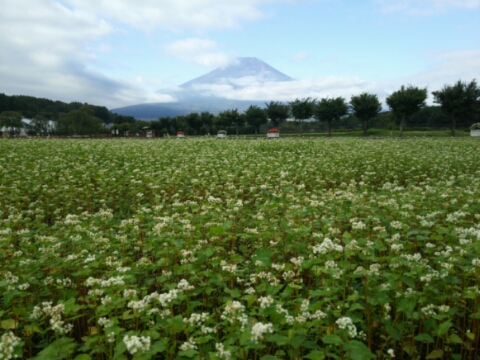 2016/10/07の写真