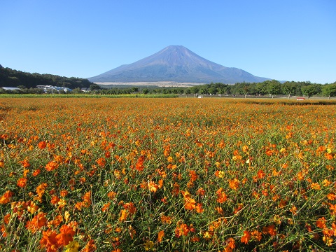 2016/10/15の写真