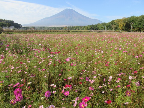 2016/10/23の写真