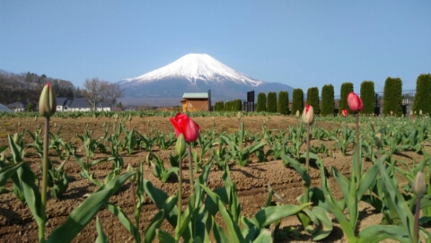 2017/04/29の写真