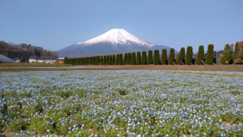 2017/04/29の写真