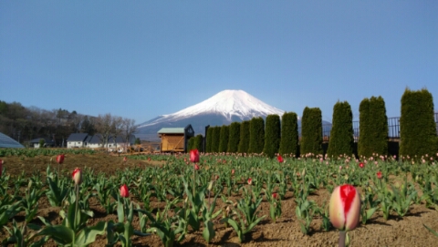 2017/04/30の写真