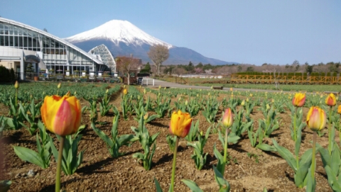 2017/04/30の写真