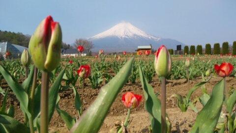 2017/05/01の写真