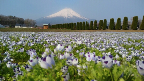 2017/05/01の写真