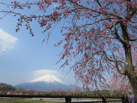 2017/05/01の写真