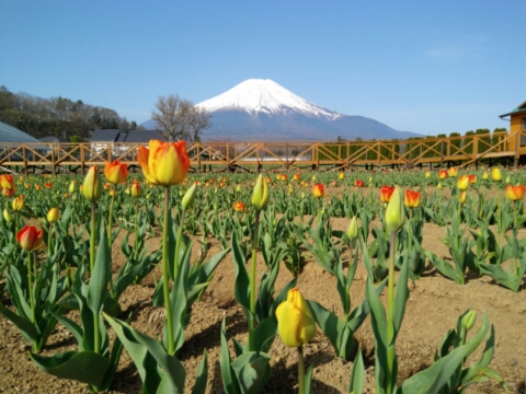 2017/05/02の写真