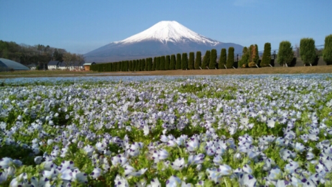 2017/05/02の写真