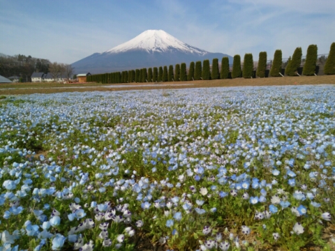 2017/05/03の写真