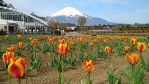 2017/05/04の写真