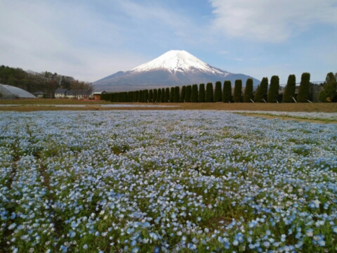 2017/05/04の写真