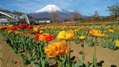 2017/05/05の写真