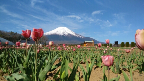 2017/05/05の写真