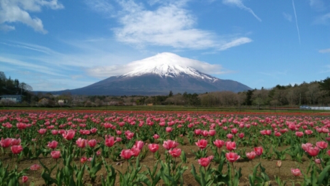 2017/05/06の写真