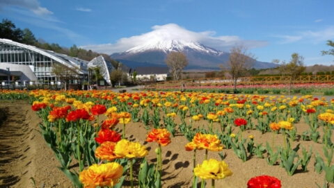 2017/05/06の写真