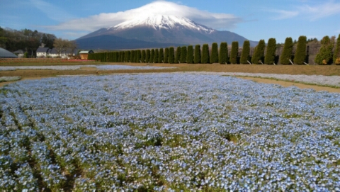 2017/05/06の写真