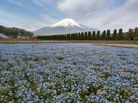 2017/05/07の写真