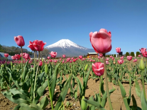 2017/05/08の写真