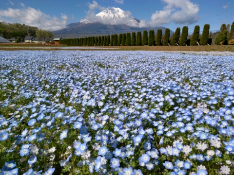 2017/05/11の写真