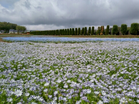 2017/05/15の写真