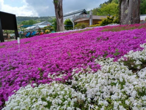 2017/05/18の写真