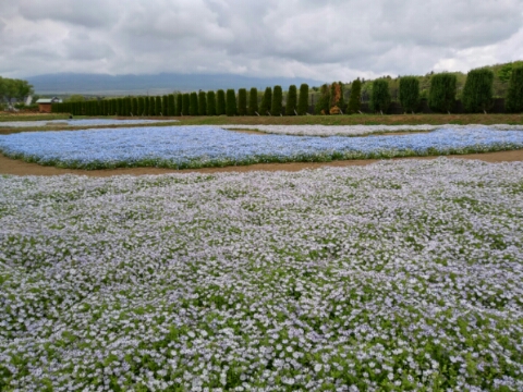 2017/05/18の写真