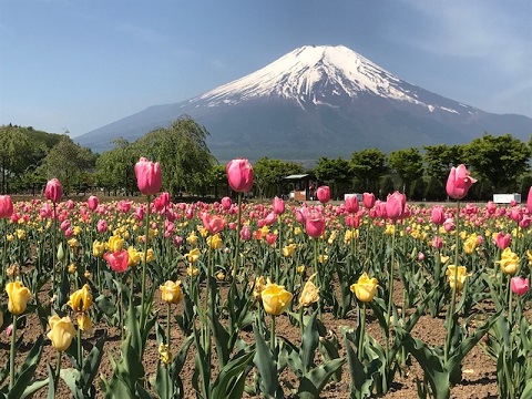 2017/05/21の写真