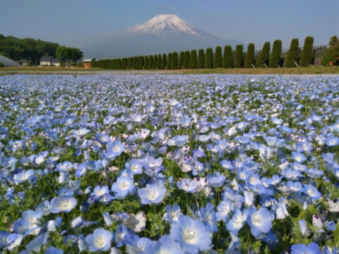 2017/05/23の写真