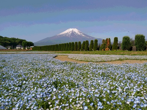 2017/05/30の写真