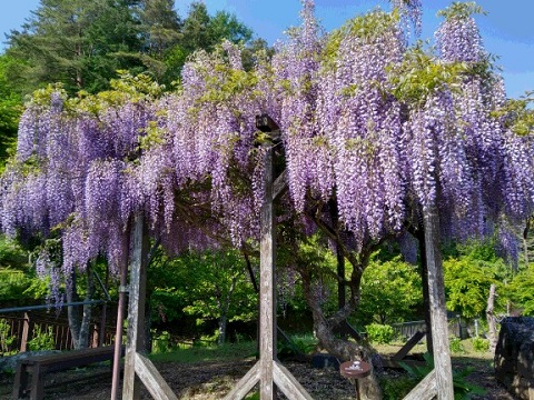 2017/05/30の写真