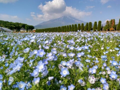 2017/06/02の写真