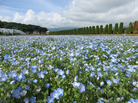 2017/06/09の写真