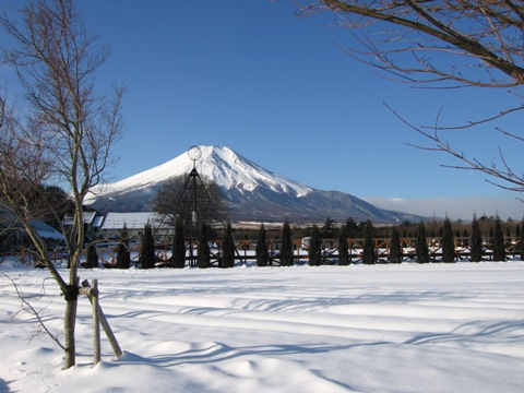 2008/01/27の写真