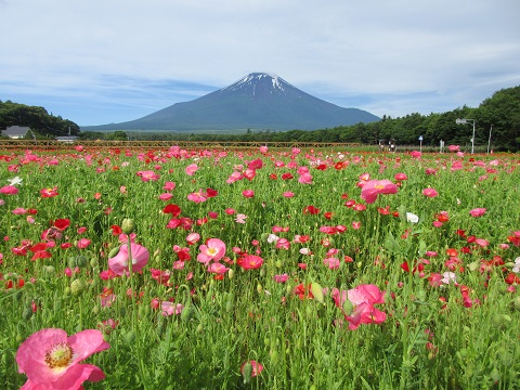 2017/07/03の写真