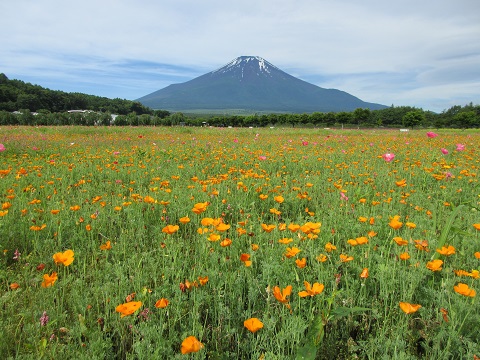 2017/07/03の写真