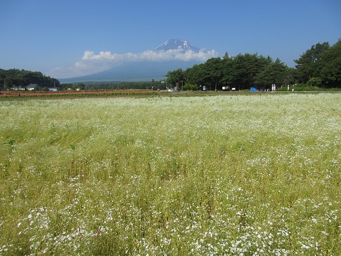 2017/07/08の写真