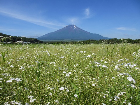 2017/07/11の写真