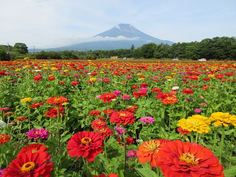 2017/07/24の写真