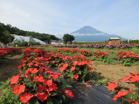 2017/07/24の写真