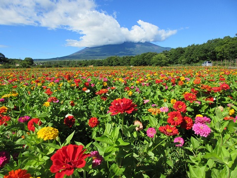 2017/08/09の写真