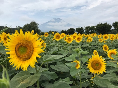 2017/08/22の写真