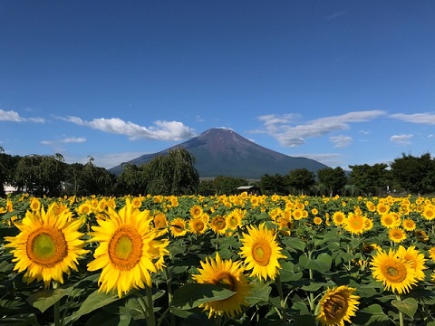 2017/08/23の写真